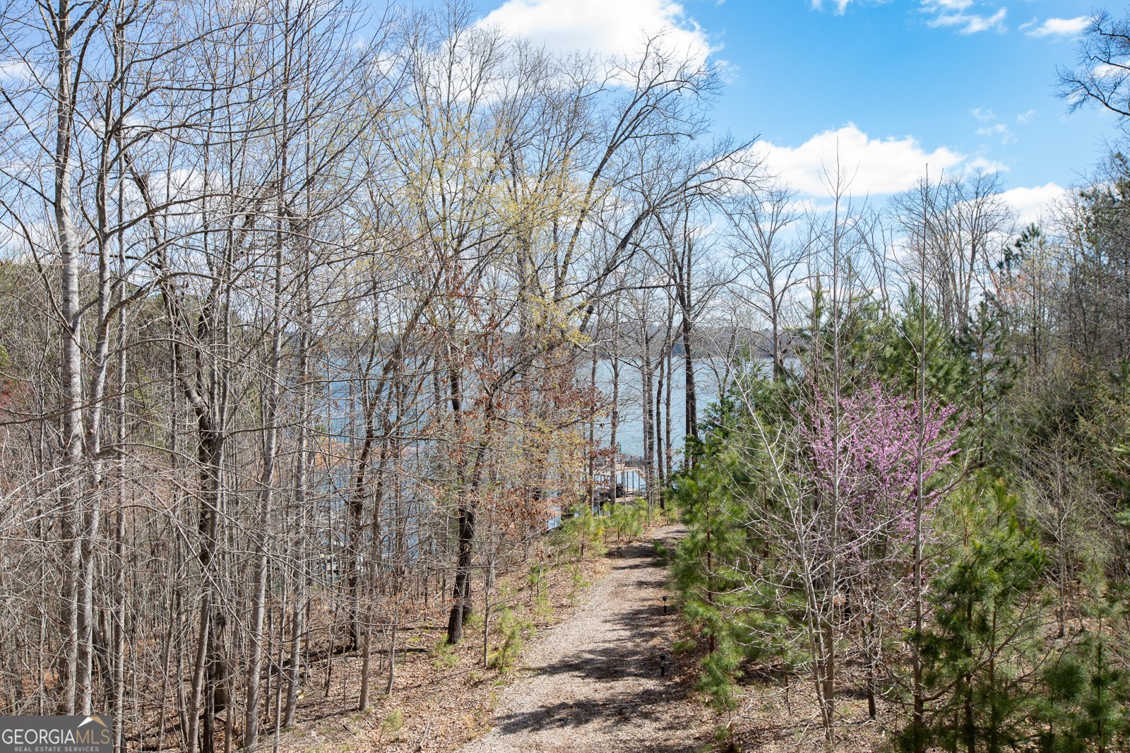 9005 Hayes Drive Gainesville - Photo 6