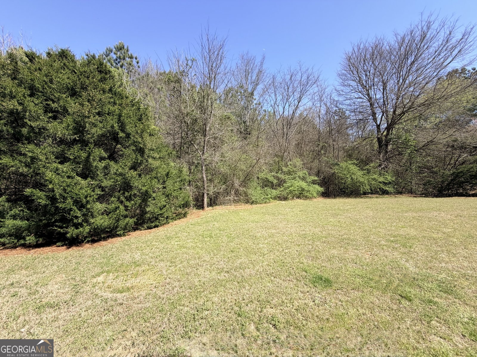 1601 Honeysuckle Path Conyers - Photo 32