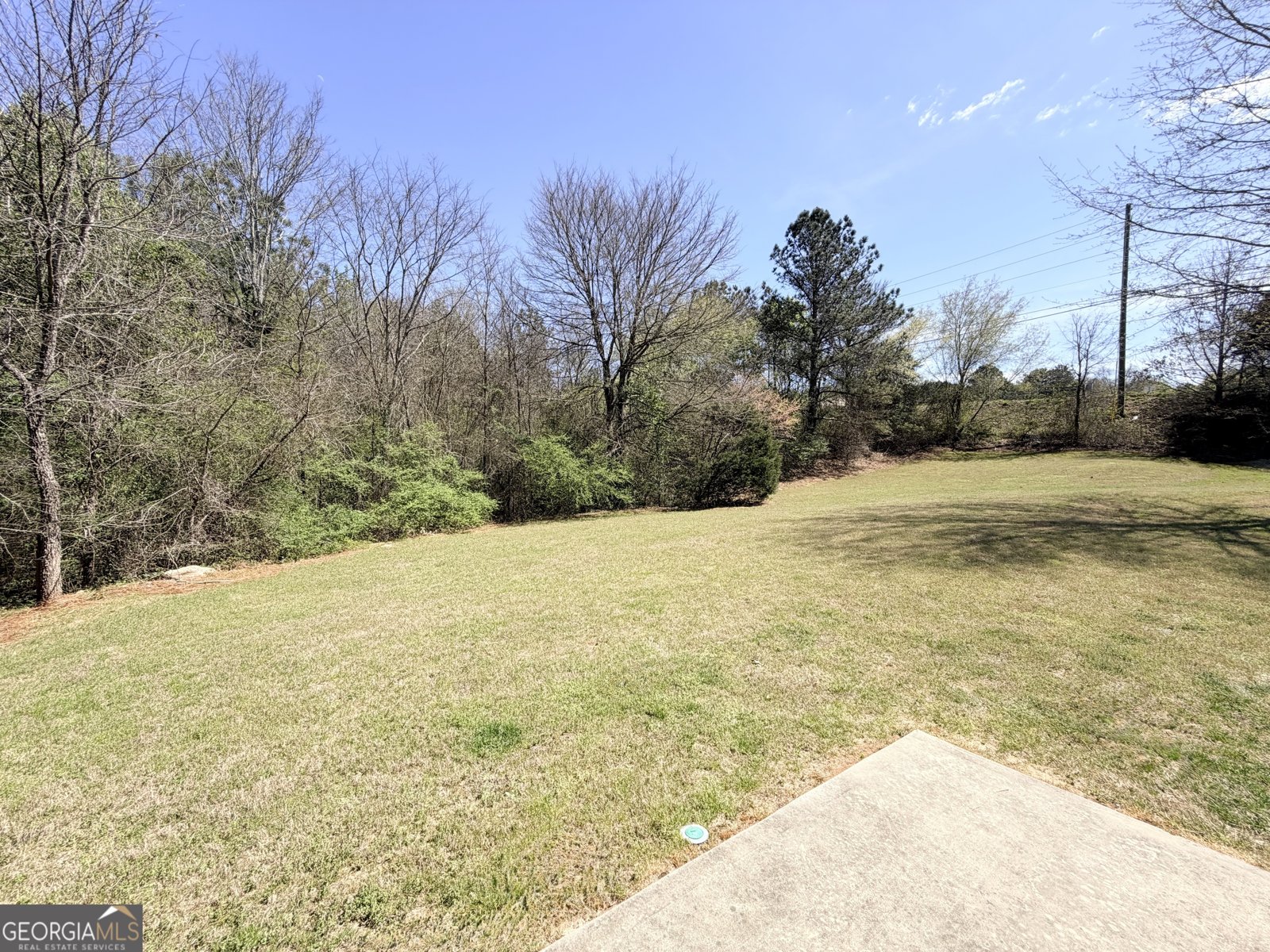 1601 Honeysuckle Path Conyers - Photo 34