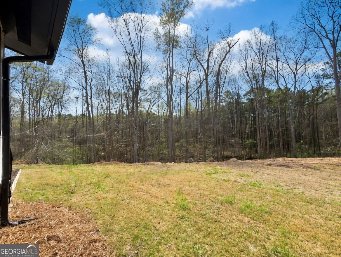 2725 Glendale Drive Conyers - Photo 16