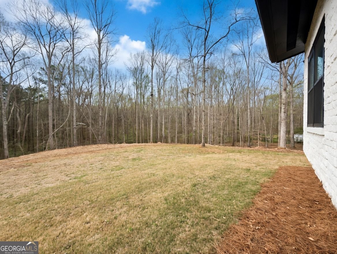 2725 Glendale Drive Conyers - Photo 17