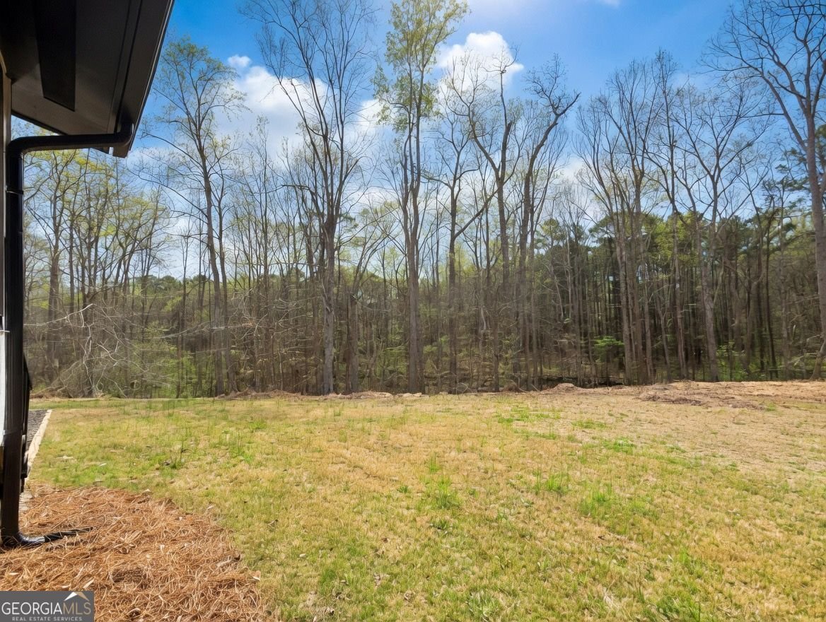 2725 Glendale Drive Conyers - Photo 24