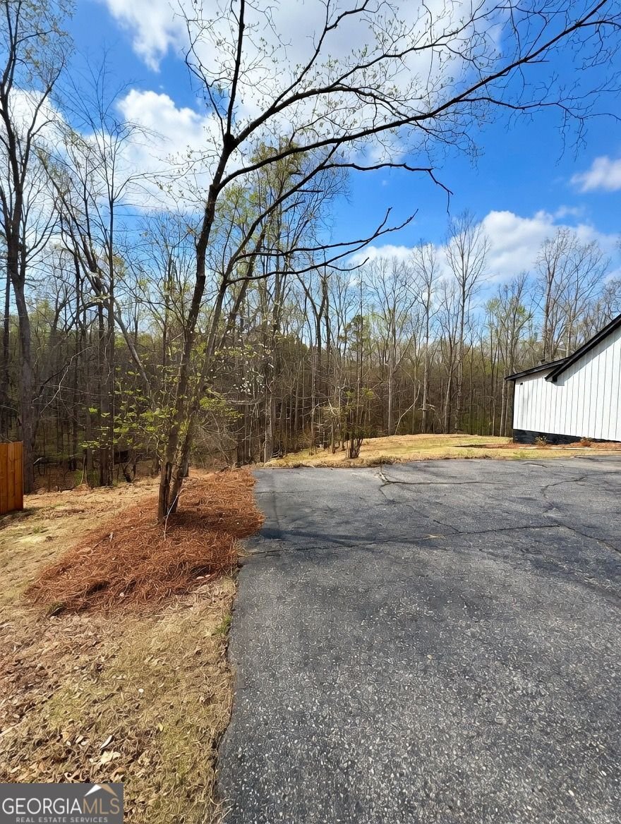 2725 Glendale Drive Conyers - Photo 7