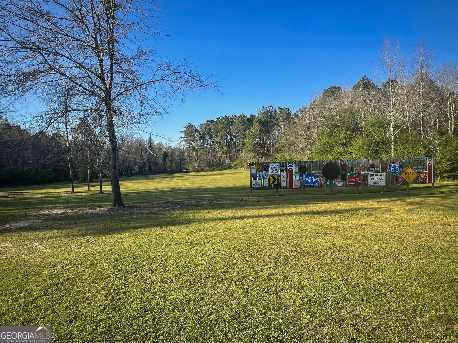 465 Hines Road Lagrange - Photo 11