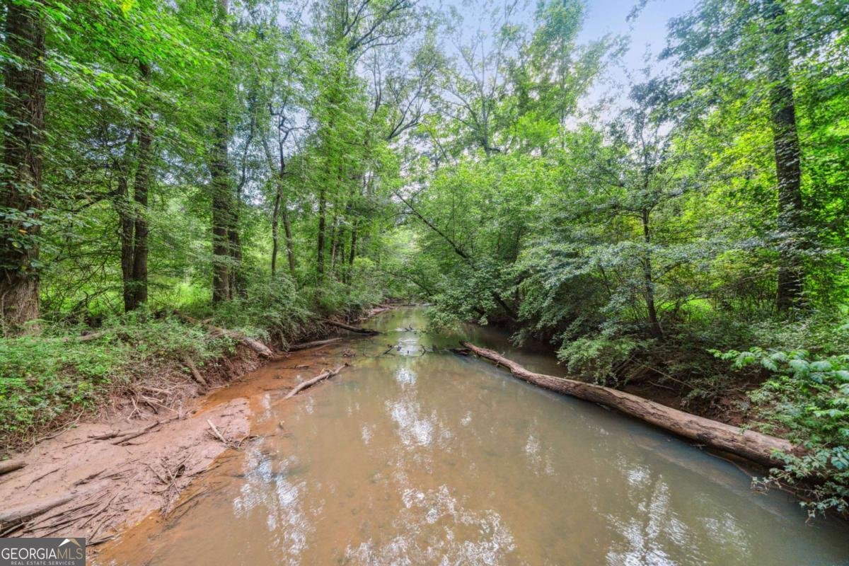 1265 Whitestone Ridge Alpharetta - Photo 36