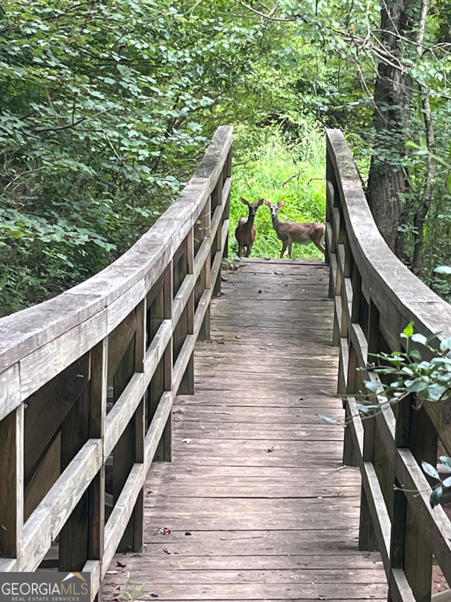 1265 Whitestone Ridge Alpharetta - Photo 42