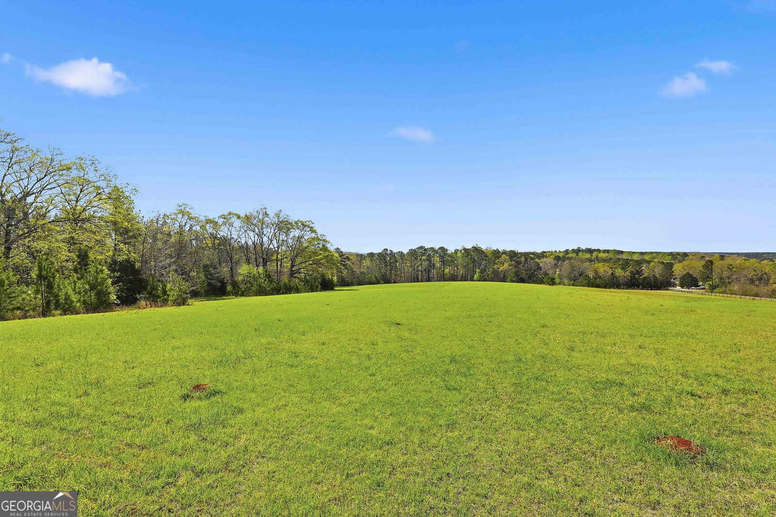1141 Windsweep Farm Road Thomaston - Photo 44