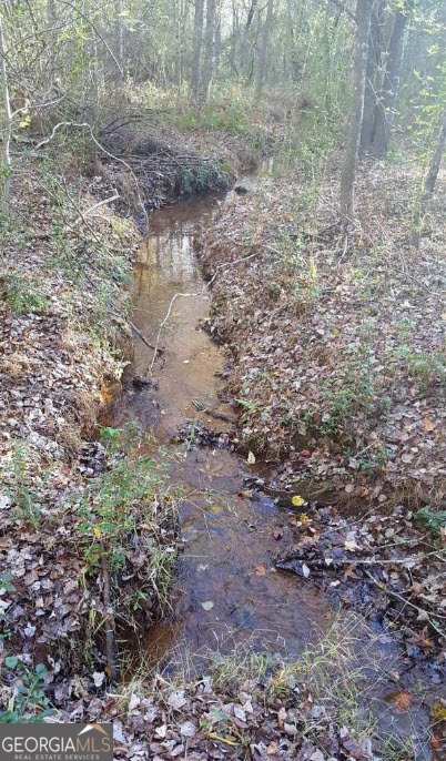 1141 Windsweep Farm Road Thomaston - Photo 53