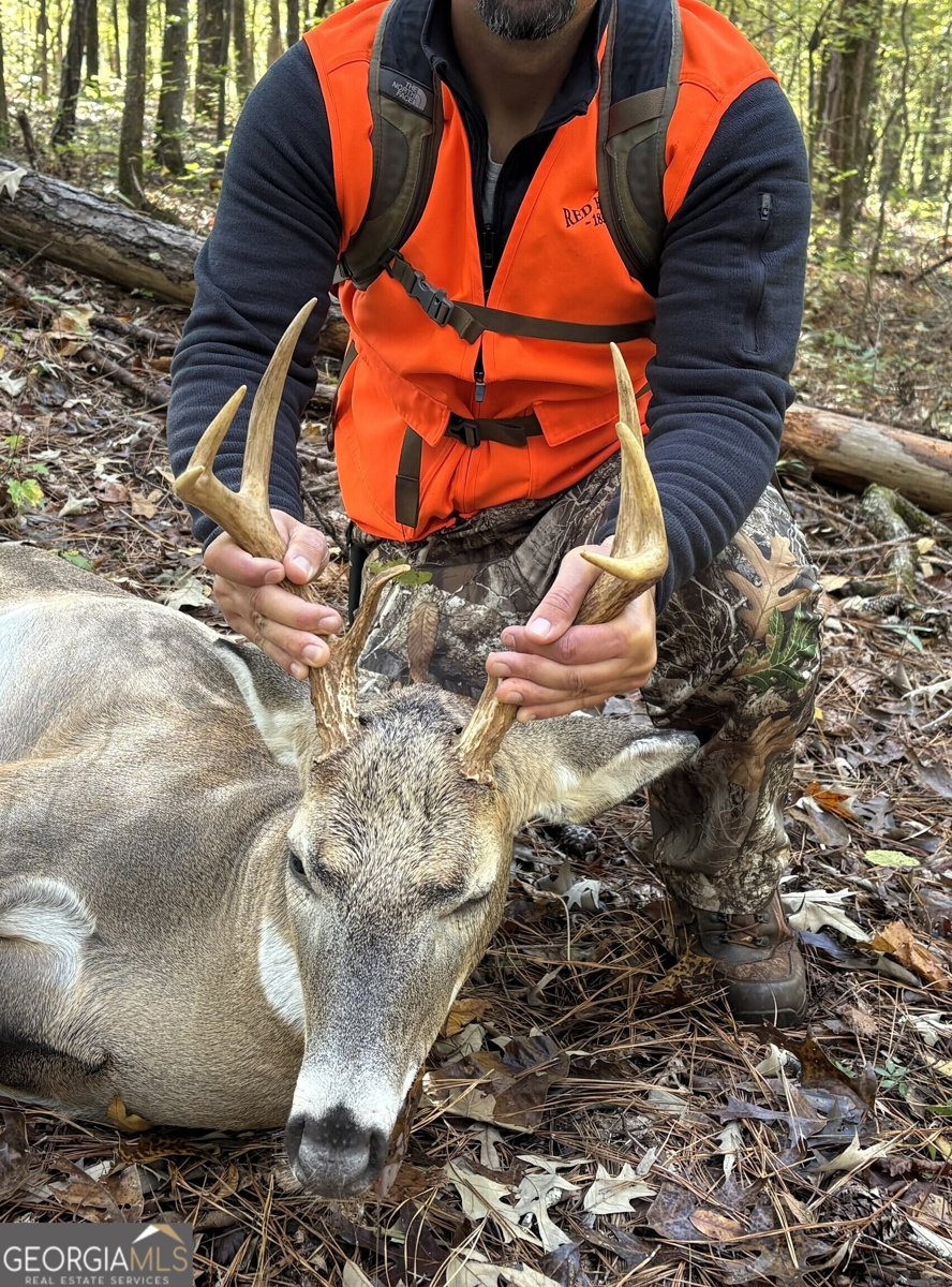 1141 Windsweep Farm Road Thomaston - Photo 56