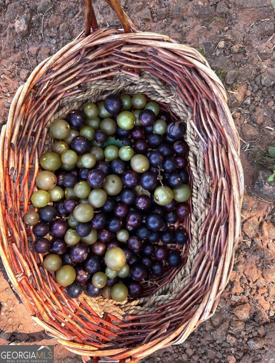 1141 Windsweep Farm Road Thomaston - Photo 57