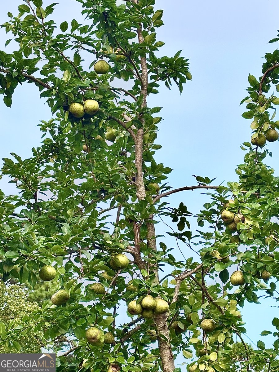 1141 Windsweep Farm Road Thomaston - Photo 58