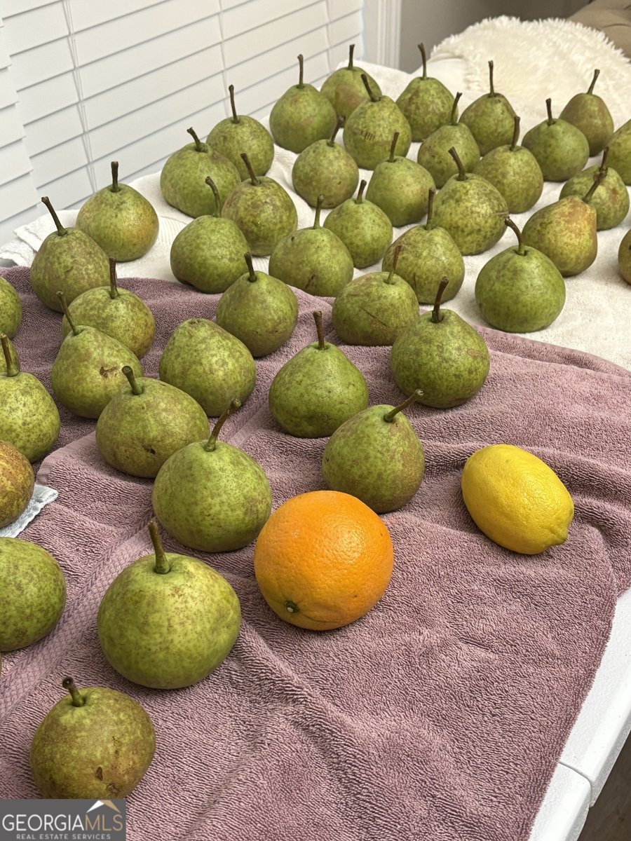 1141 Windsweep Farm Road Thomaston - Photo 59