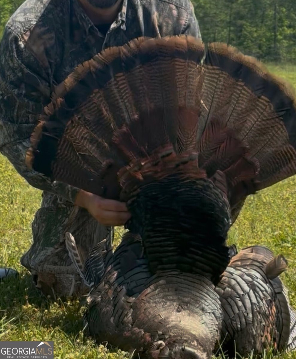 1141 Windsweep Farm Road Thomaston - Photo 60