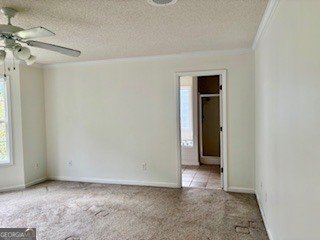 2110 Mcgarity Road McDonough - Photo 8