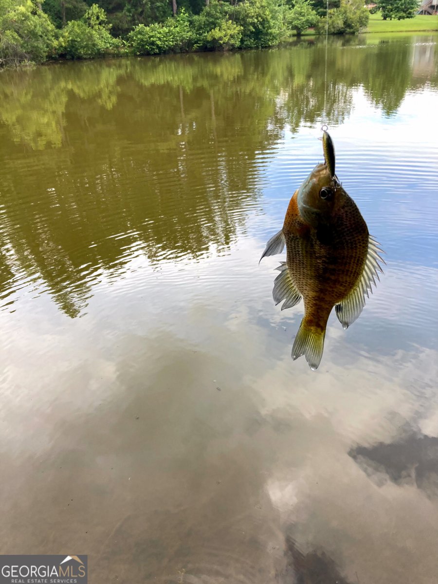 37 Farmstead Way Senoia - Photo 100