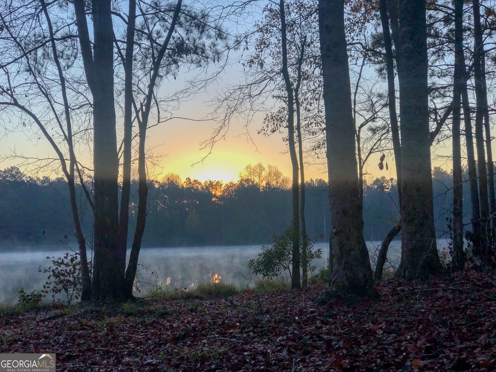 37 Farmstead Way Senoia - Photo 101