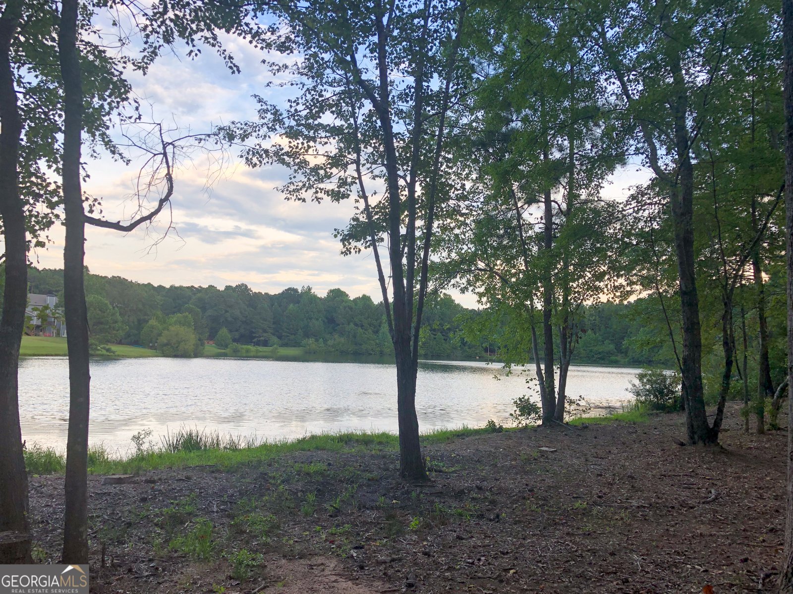 37 Farmstead Way Senoia - Photo 102