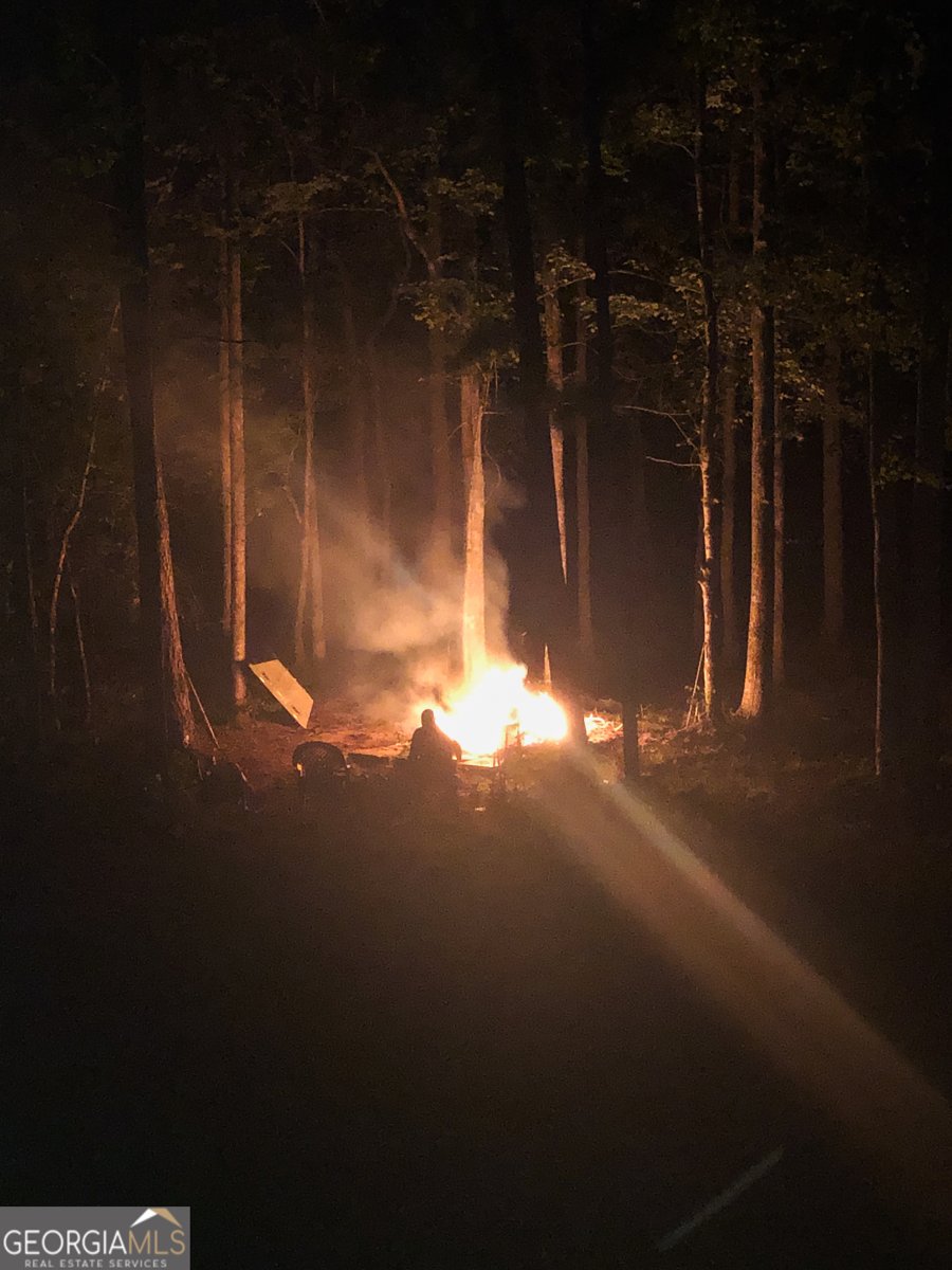 37 Farmstead Way Senoia - Photo 103