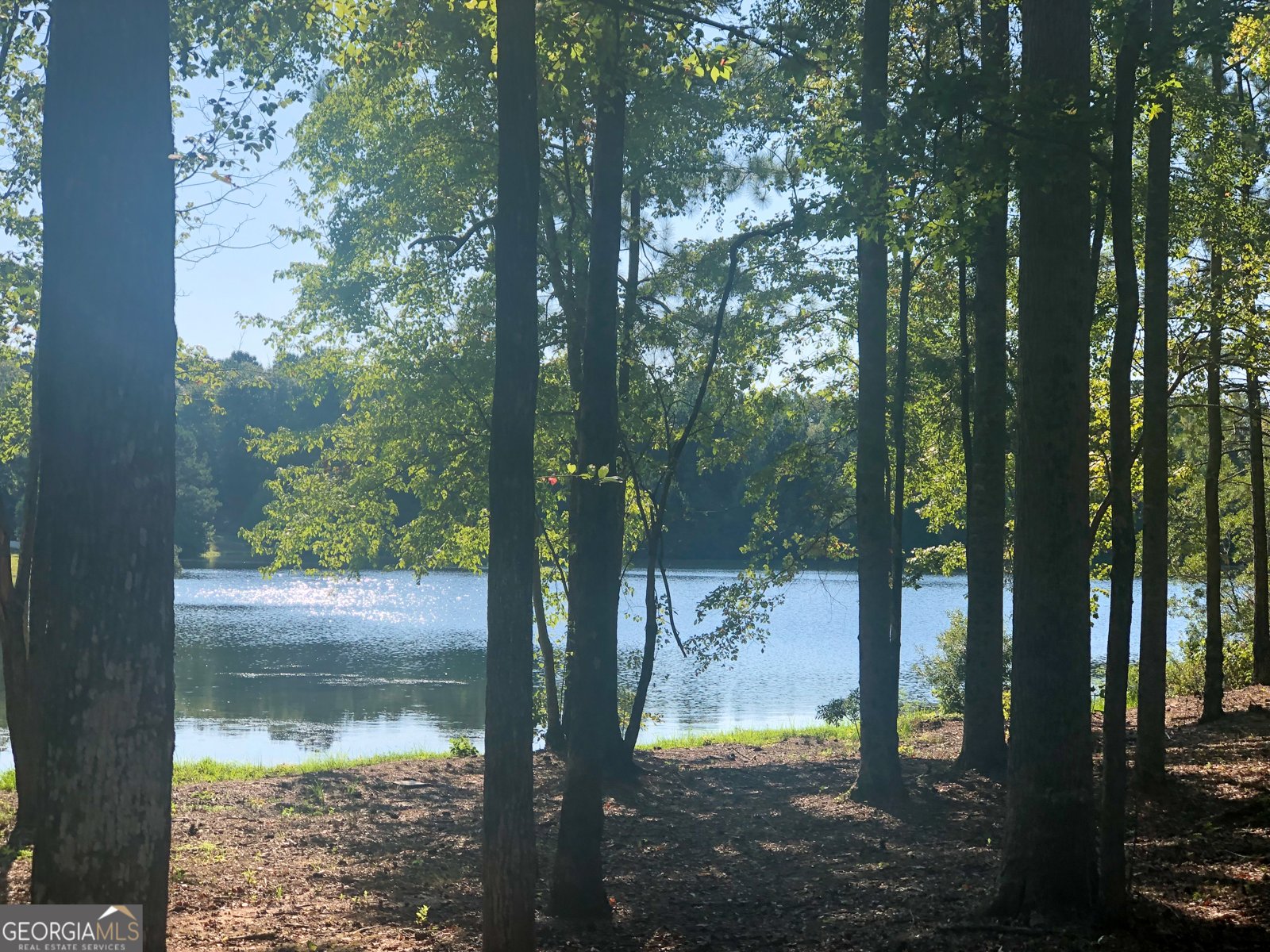 37 Farmstead Way Senoia - Photo 104