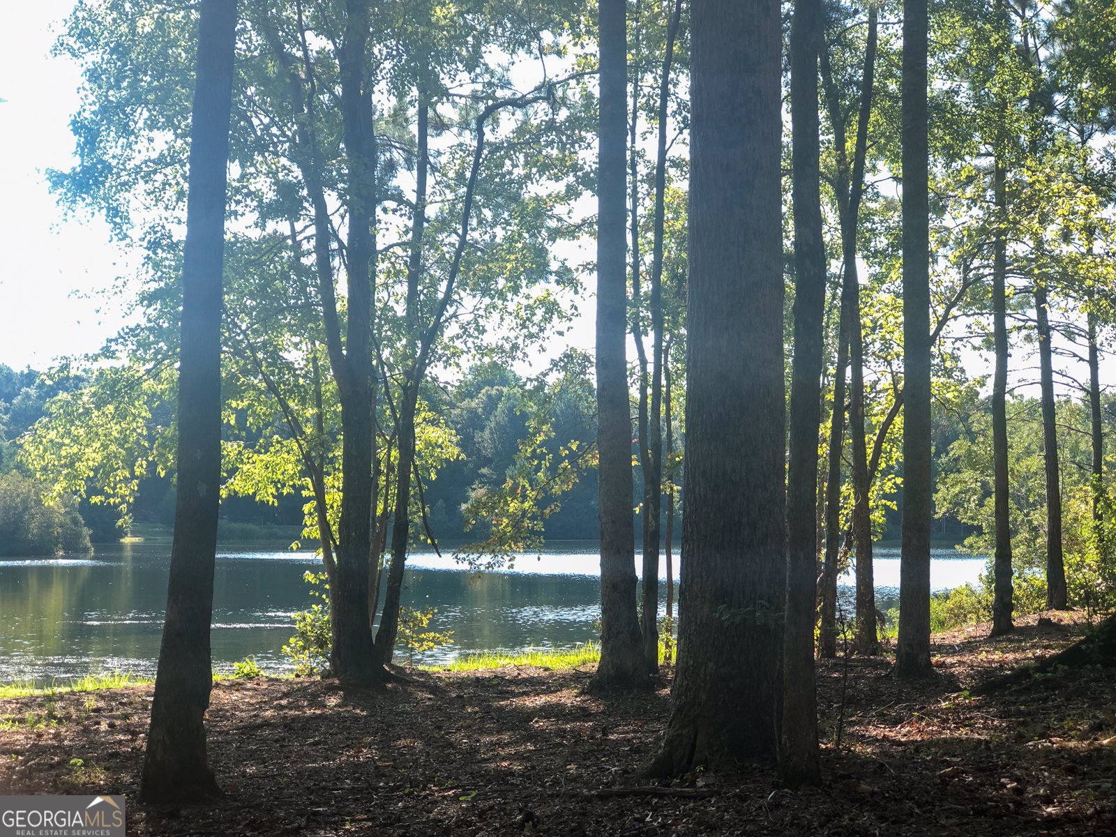 37 Farmstead Way Senoia - Photo 105