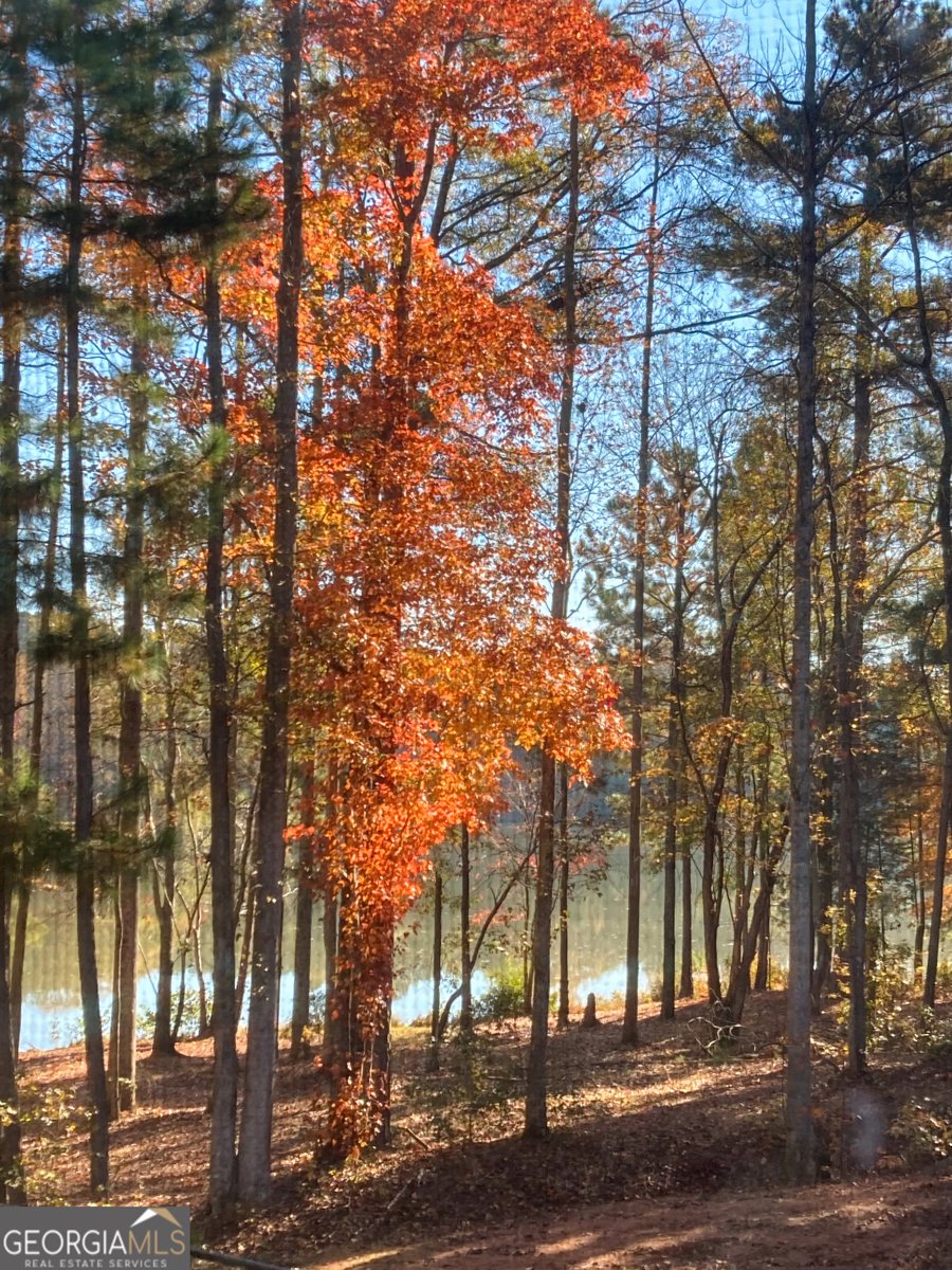 37 Farmstead Way Senoia - Photo 106