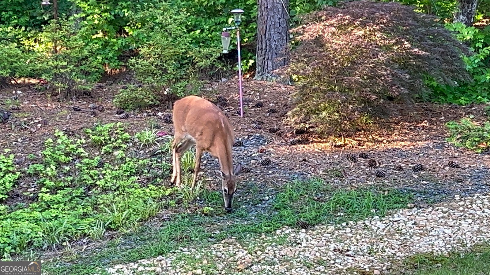 37 Farmstead Way Senoia - Photo 109