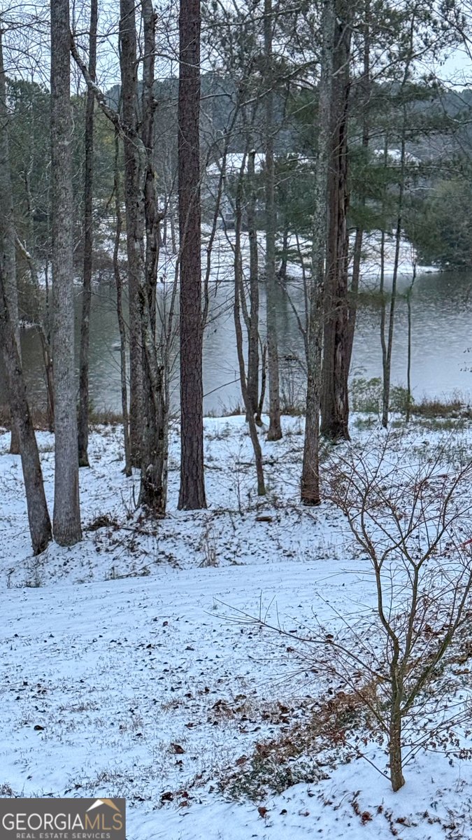 37 Farmstead Way Senoia - Photo 110