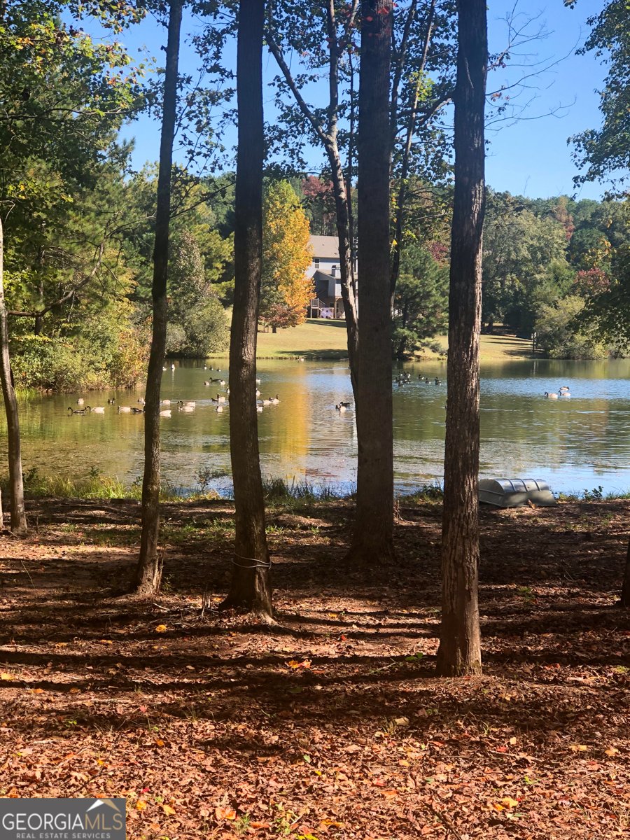 37 Farmstead Way Senoia - Photo 113