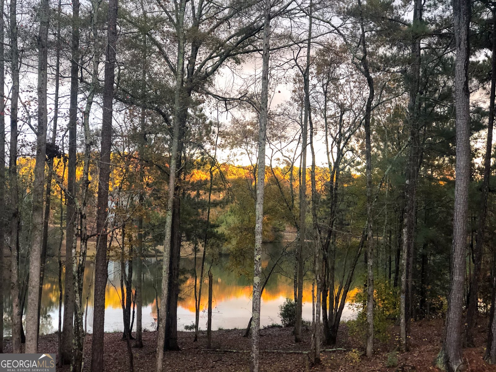 37 Farmstead Way Senoia - Photo 114