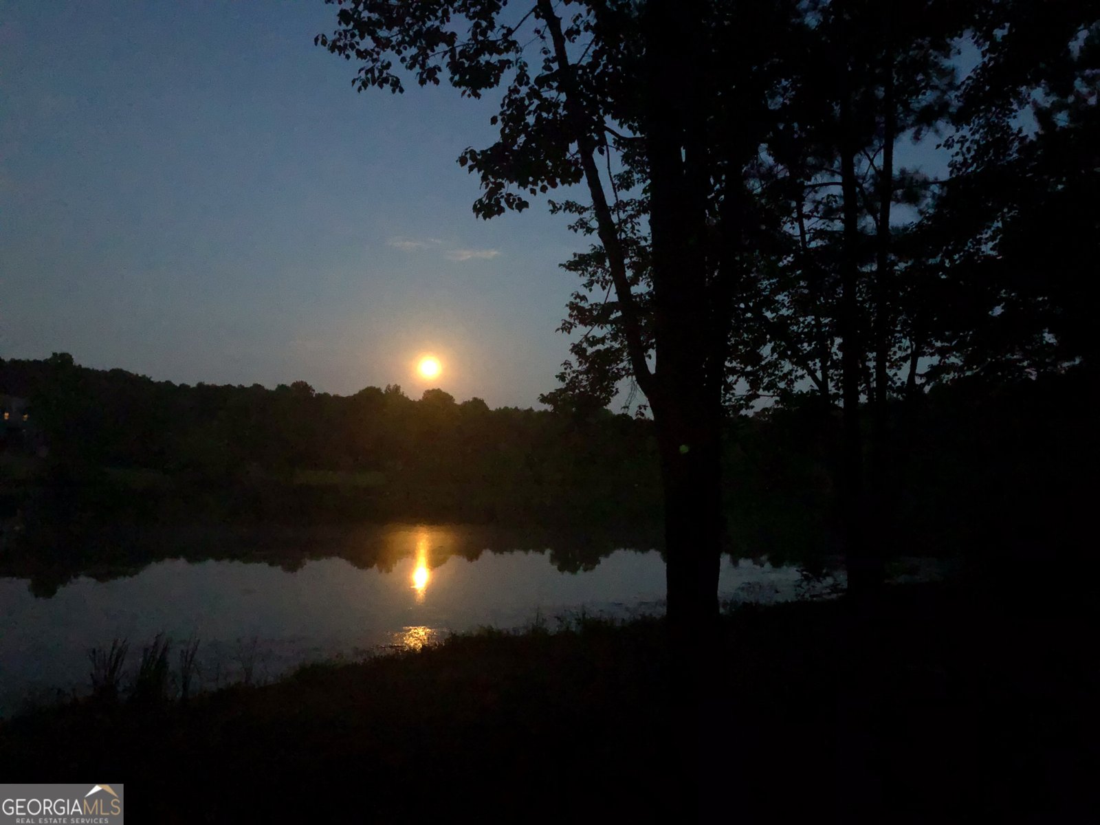 37 Farmstead Way Senoia - Photo 117