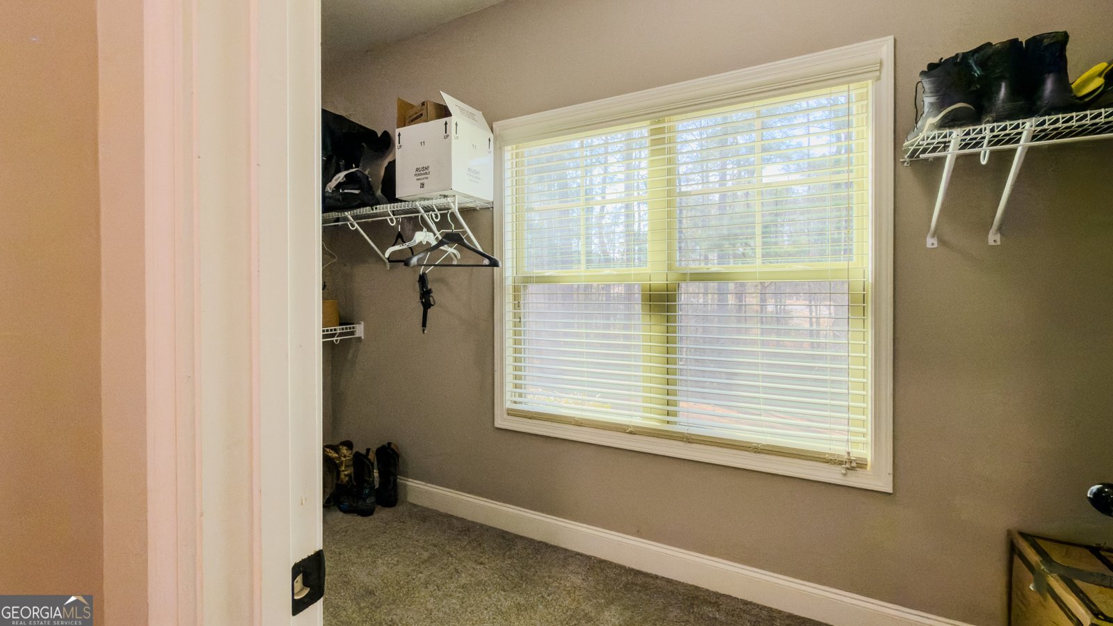 37 Farmstead Way Senoia - Photo 20