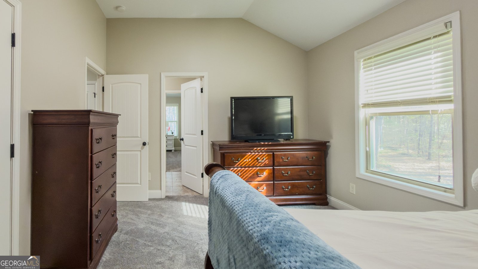 37 Farmstead Way Senoia - Photo 44