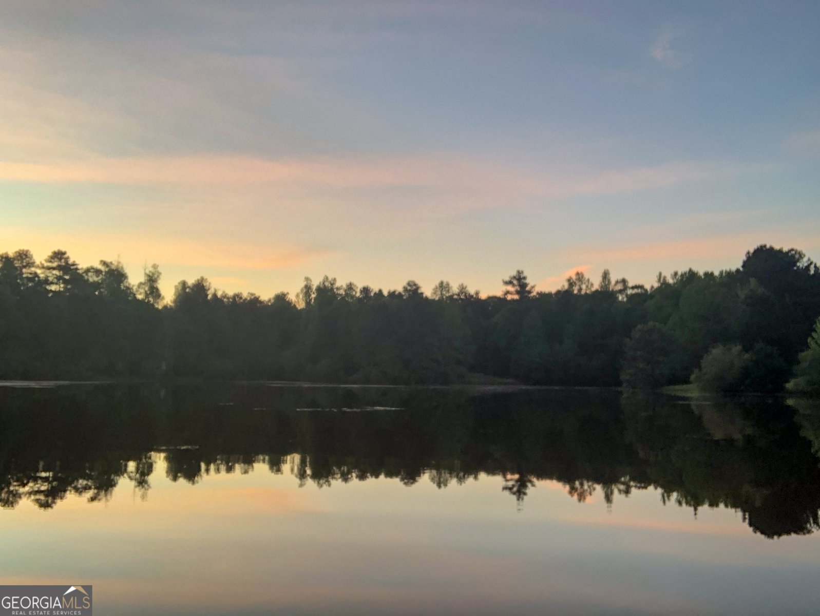 37 Farmstead Way Senoia - Photo 6