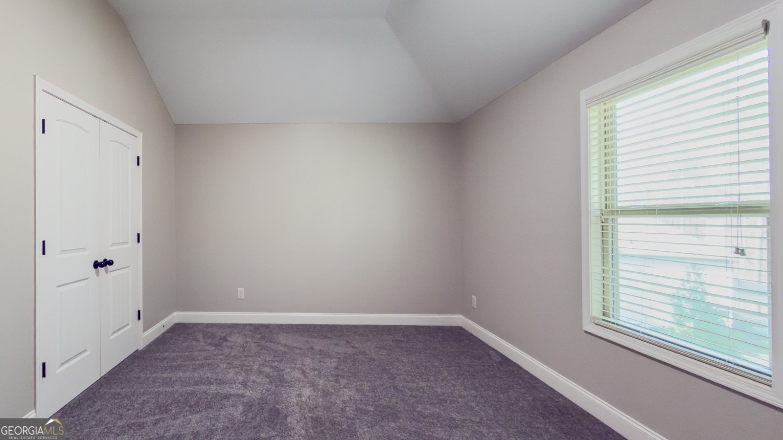 37 Farmstead Way Senoia - Photo 60