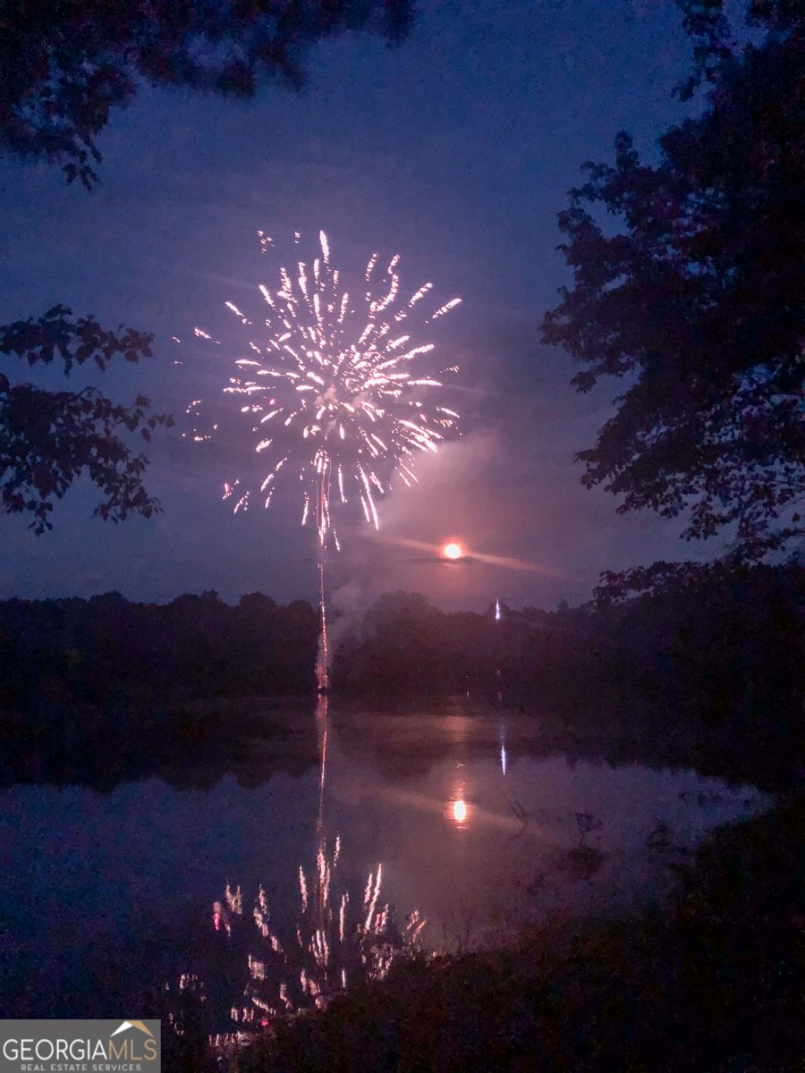 37 Farmstead Way Senoia - Photo 7