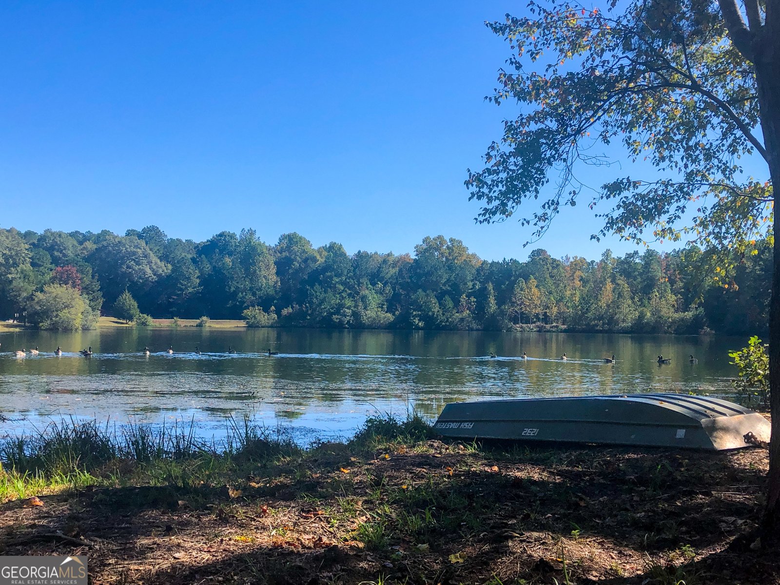 37 Farmstead Way Senoia - Photo 99