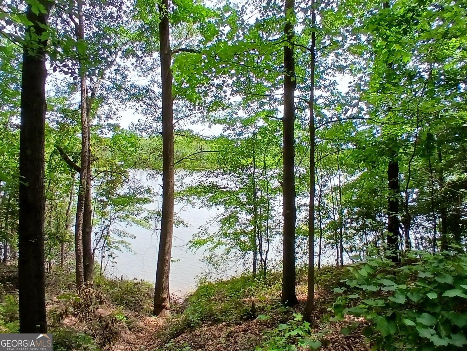 182 Cherry Rose Lane Hartwell - Photo 60