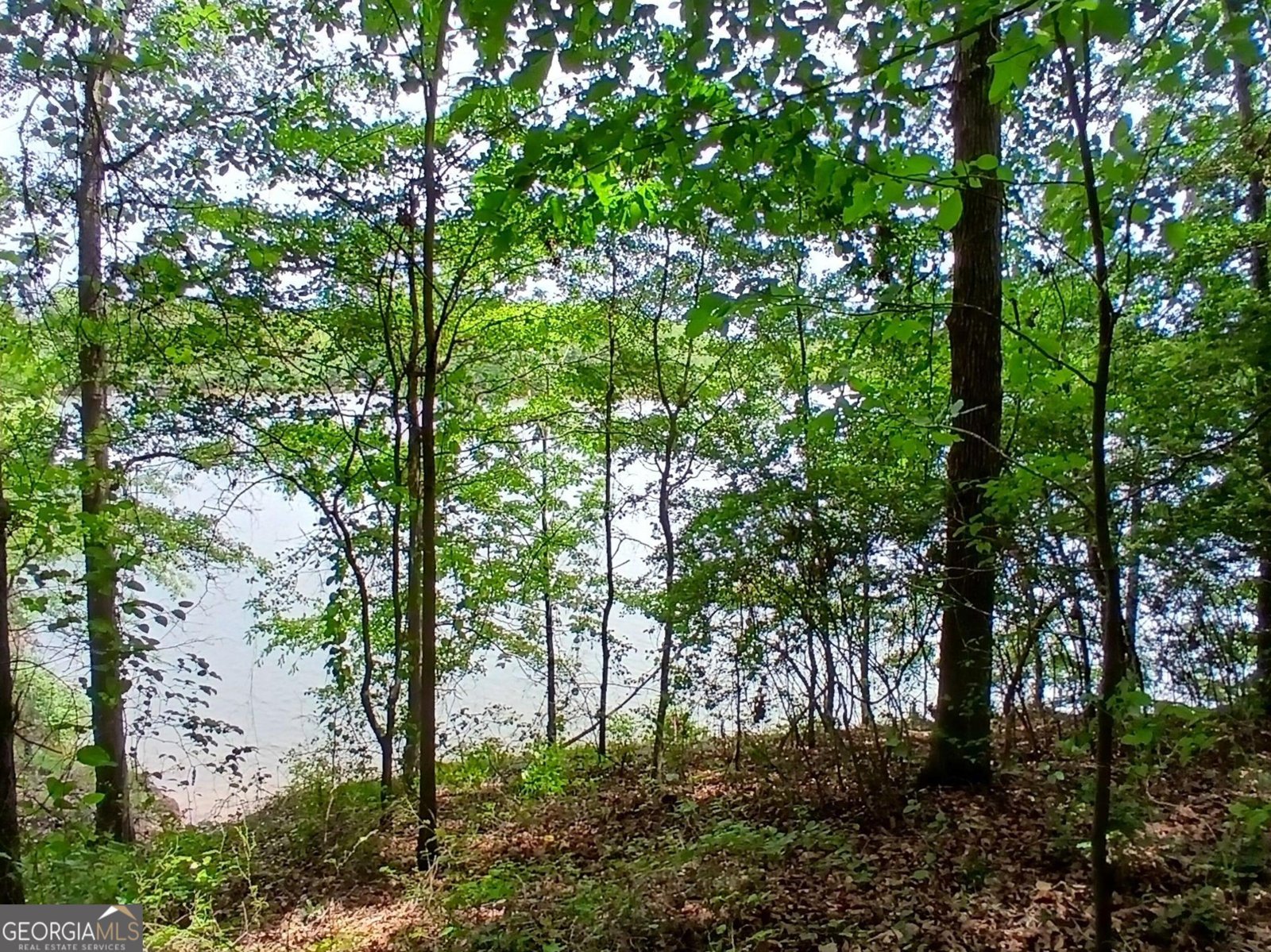 182 Cherry Rose Lane Hartwell - Photo 62