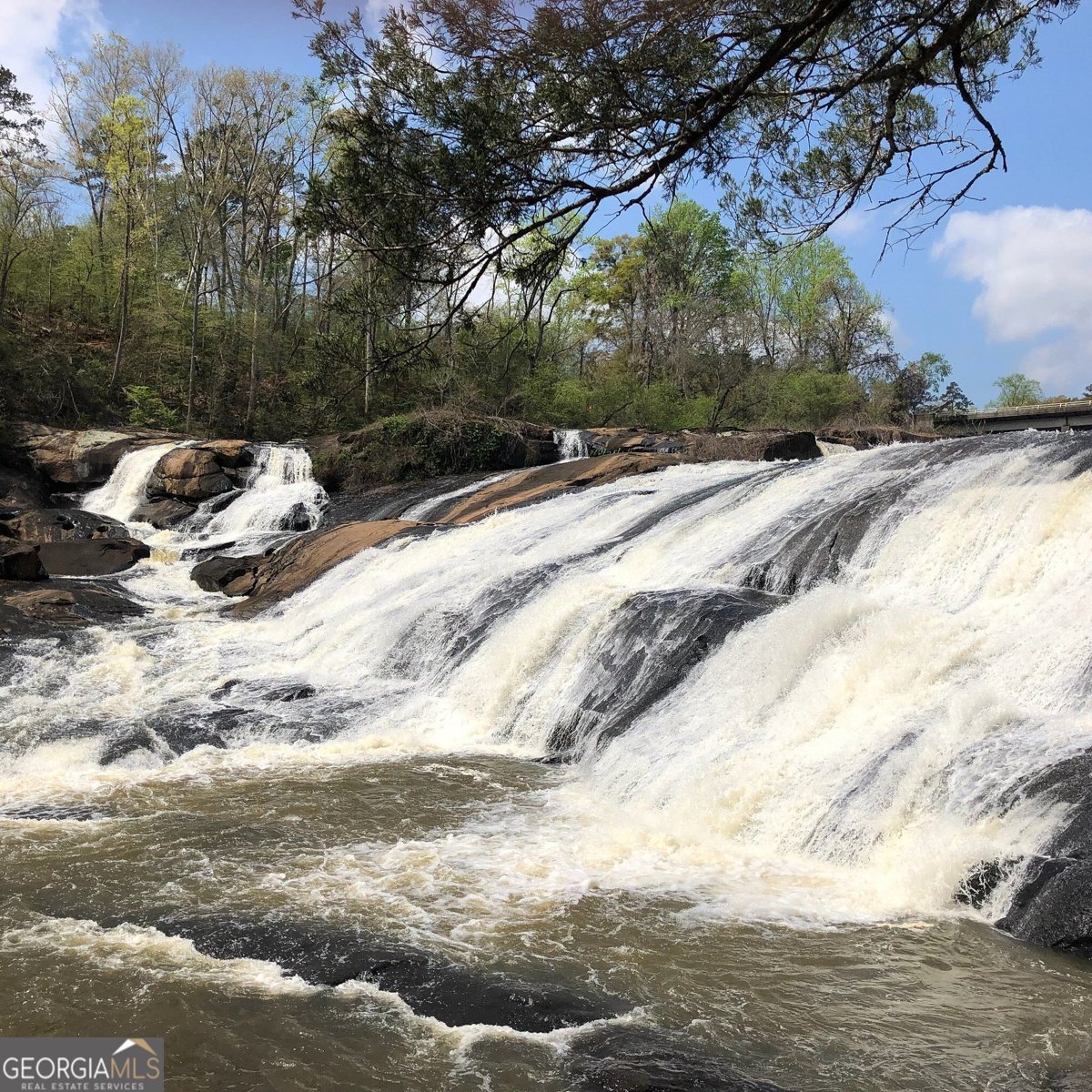 158 Rivers Edge Drive Forsyth - Photo 12