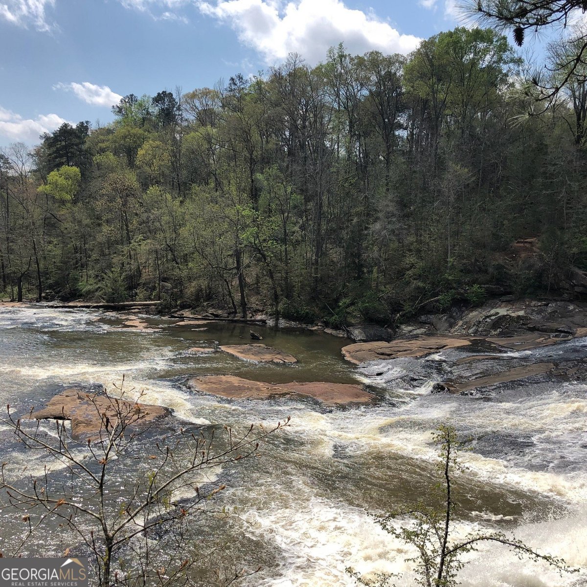 158 Rivers Edge Drive Forsyth - Photo 14