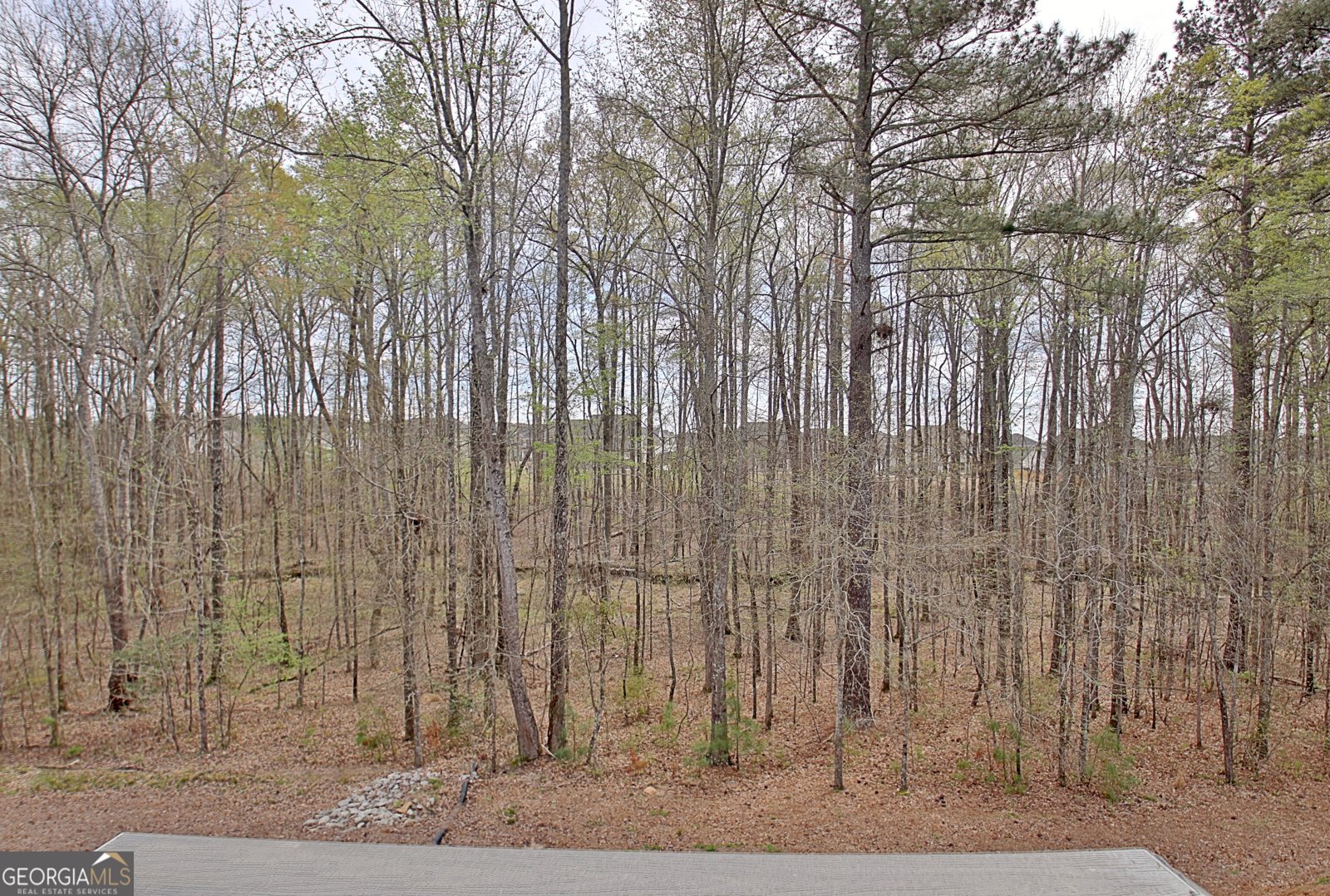 155 Mulberry Court Peachtree City - Photo 51