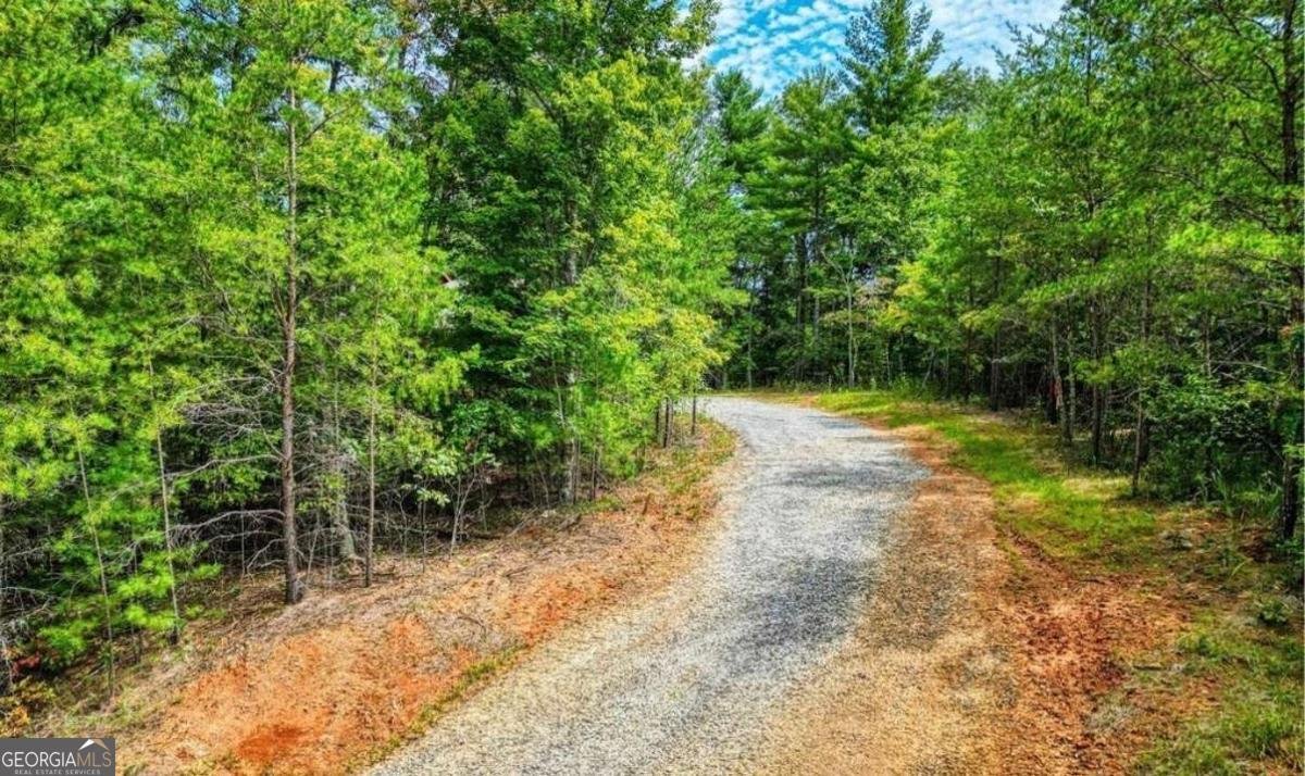 199 Lola Mae Way Morganton - Photo 36