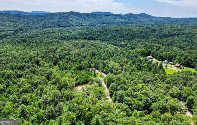 199 Lola Mae Way Morganton - Photo 37