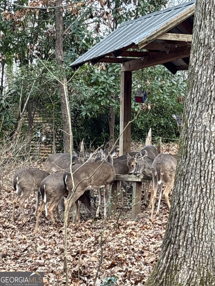126 Lake Drive Roswell - Photo 32
