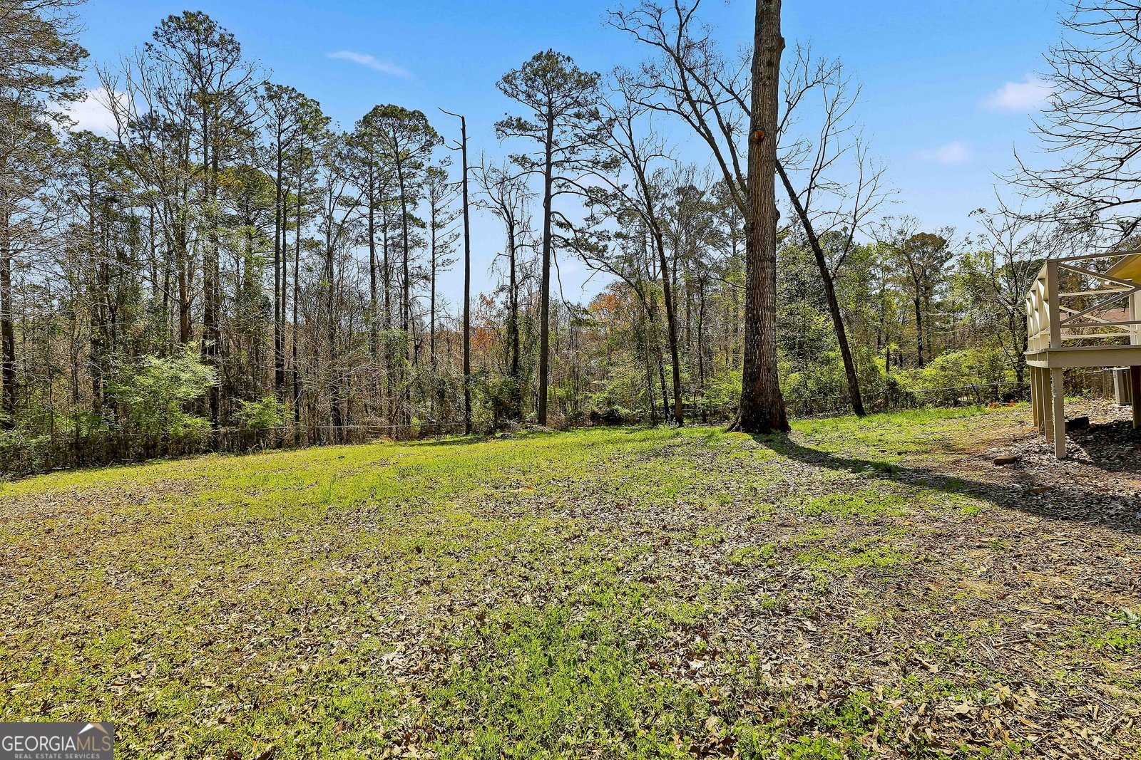 218 Hyde Circle Newnan - Photo 35