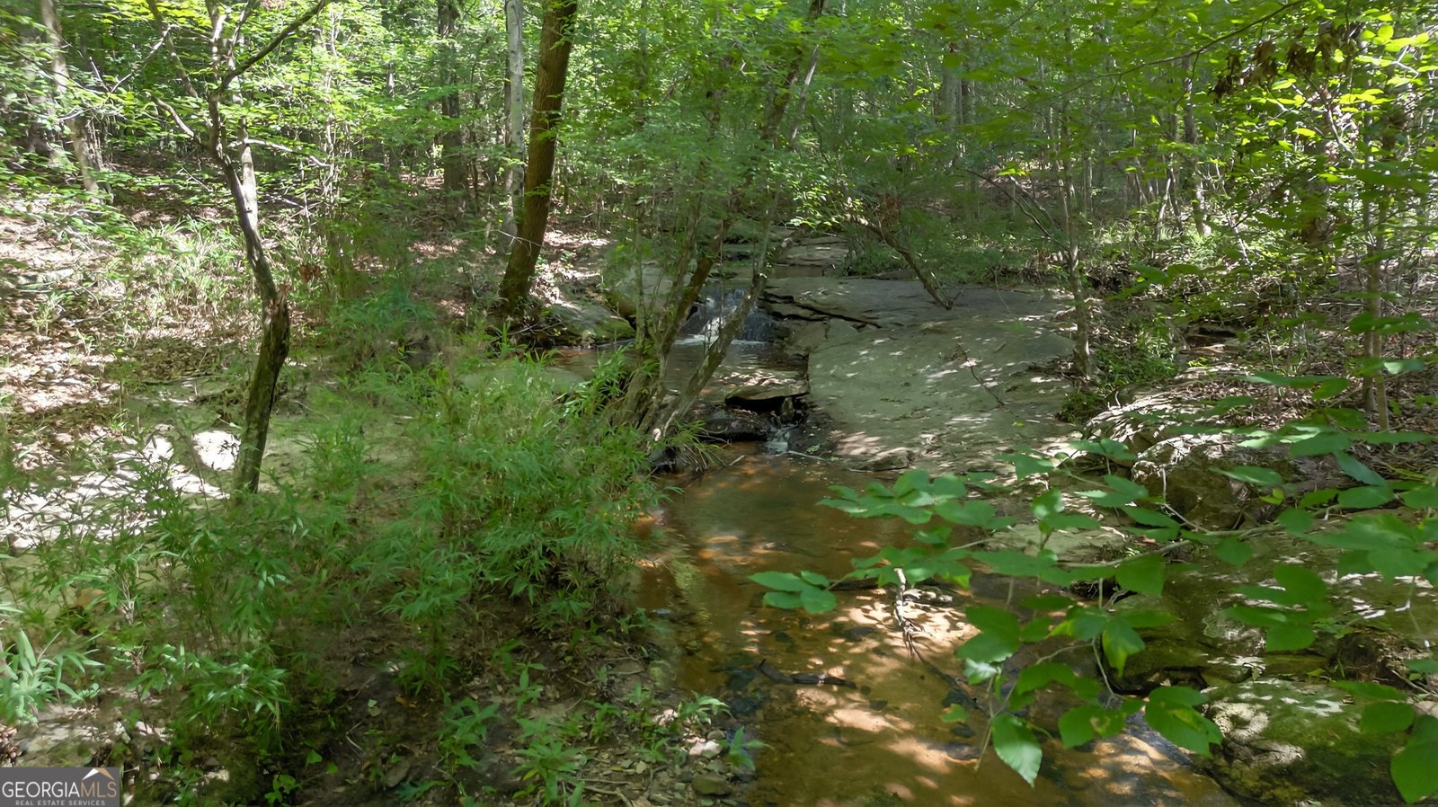 299 Scott Lane Pelzer - Photo 30