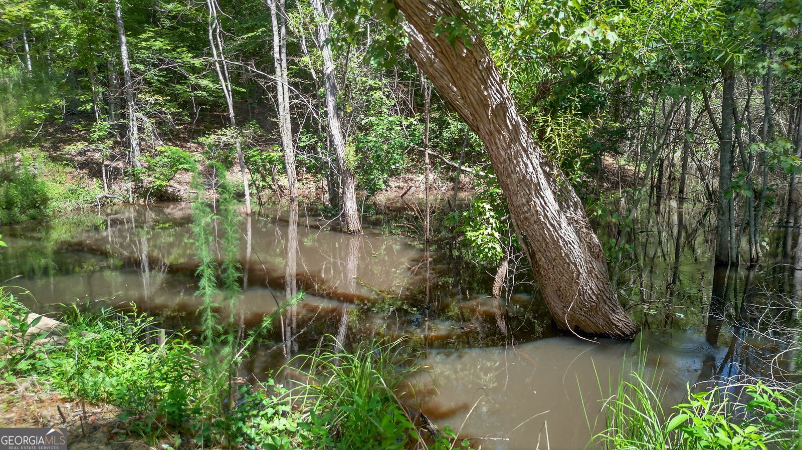 299 Scott Lane Pelzer - Photo 31