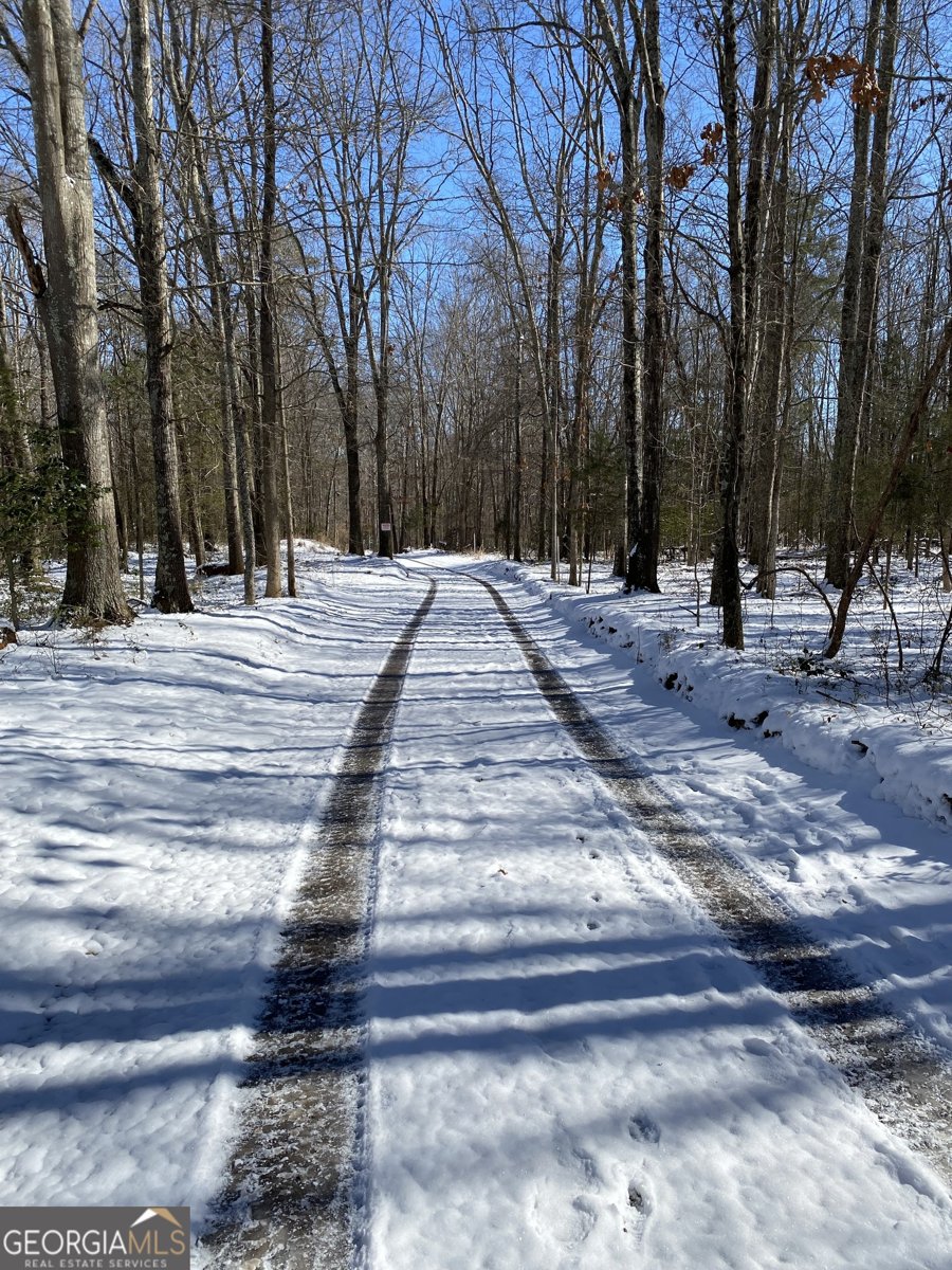 299 Scott Lane Pelzer - Photo 68