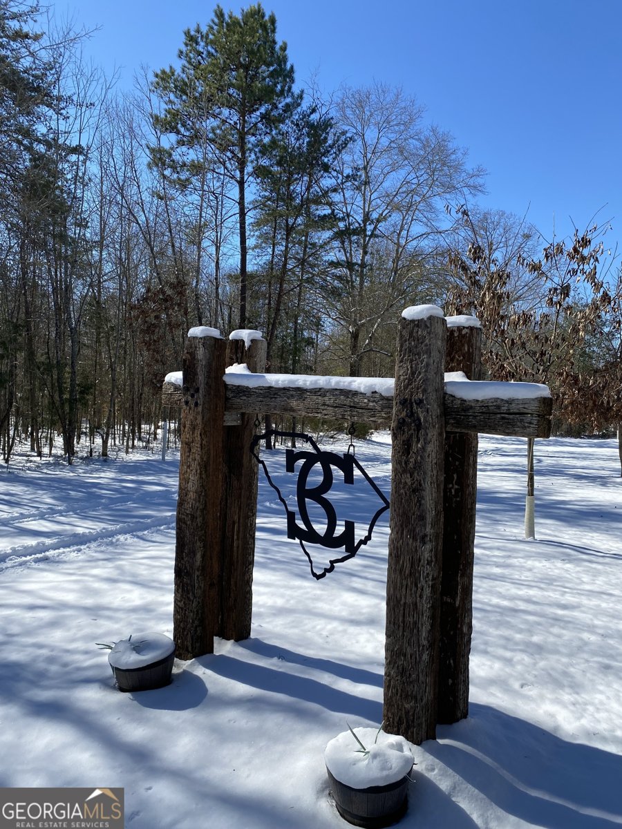 299 Scott Lane Pelzer - Photo 69