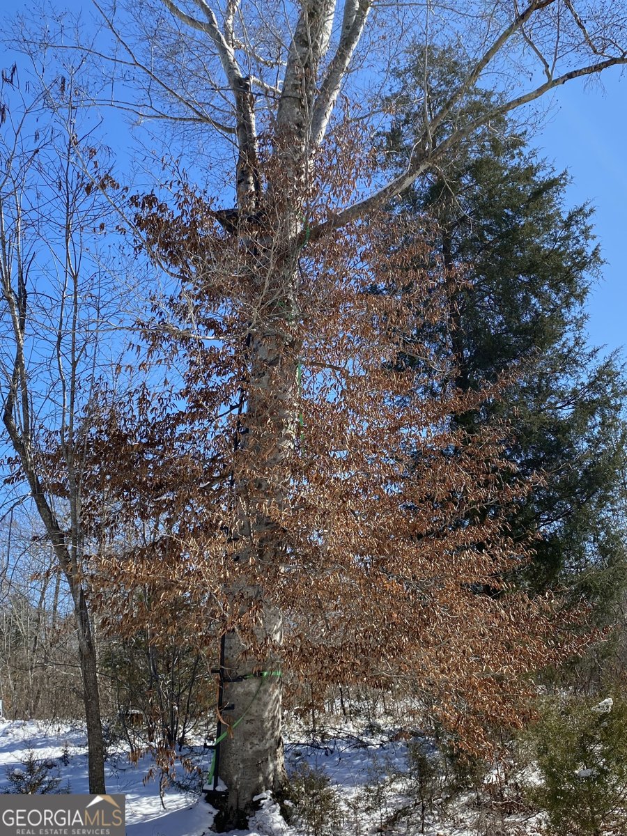 299 Scott Lane Pelzer - Photo 71